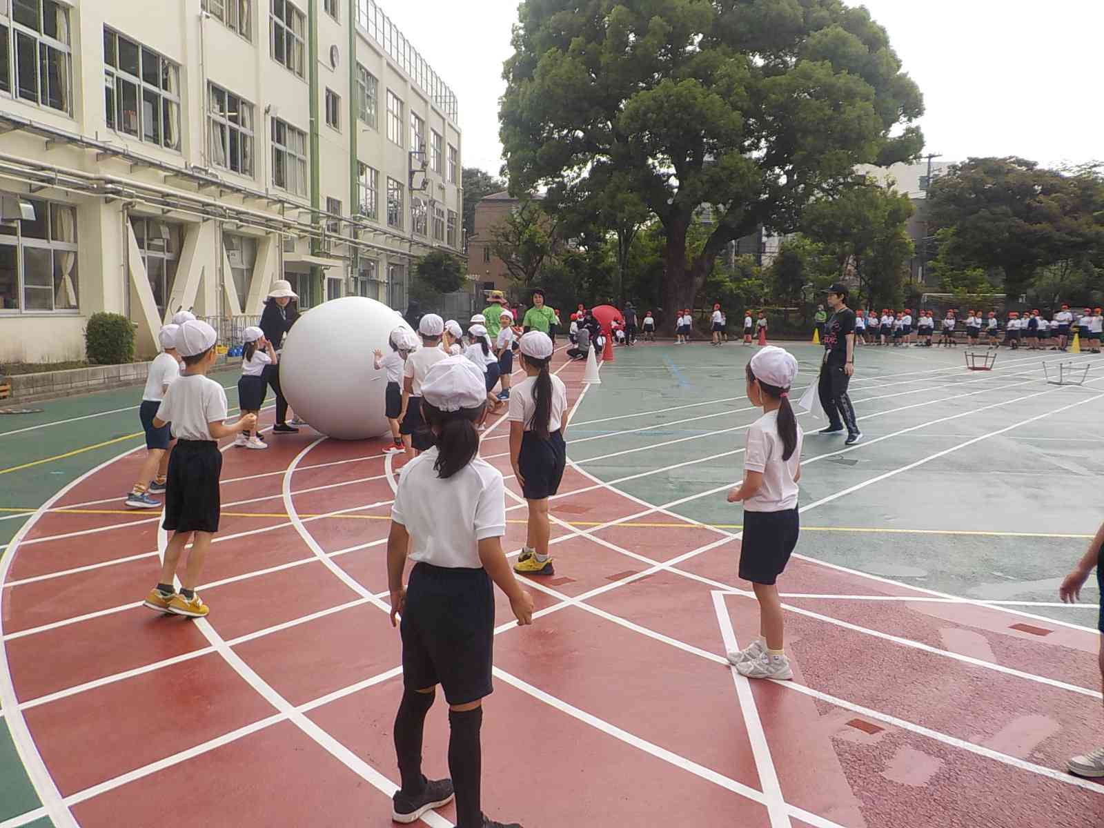 DSCN5908